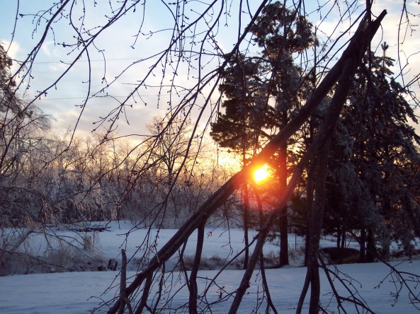 Beauty after the storm 12/2007