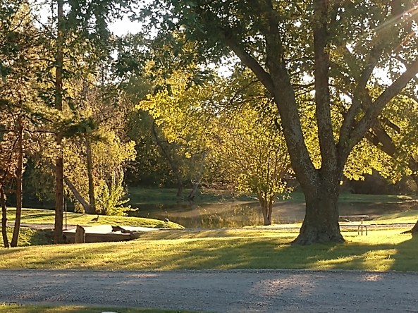 IMG_20211017_174436731